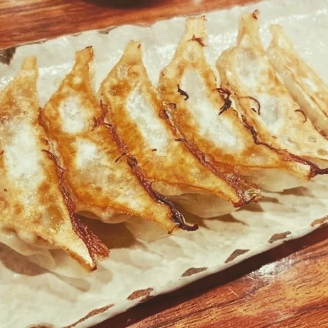 馬肉餃子 30個入りパッケージ